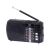 Trevi RA 7F20 BT Portable Radio with Bluetooth, USB, and SD card input