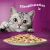 Whiskas Pure Delight Cica Püré - 12 x 85g 75262592