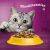 Whiskas Csirkés Macskaeledel Tasak - 85g 146361605