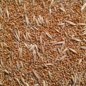 TRÓPUS 600 ml madáreledel keverék, 10 db-os csomag - Madáreleség