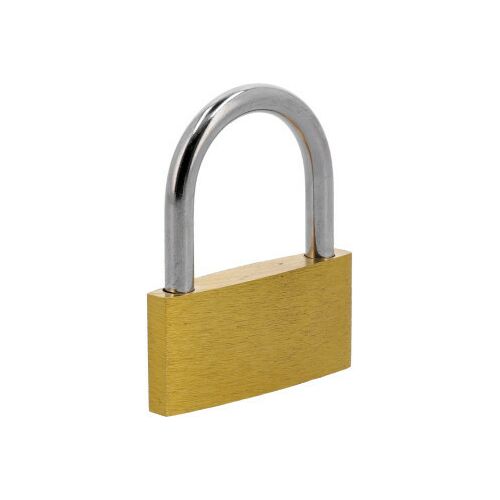 50mm Sárgaréz Lakat Elszigetelve