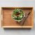 Bambusz Reggelizőtálca: Bamboo breakfast tray with salad, fork, and knife