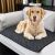 Dog lying on Purlov 70x50cm reusable pet pad on sofa