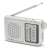 Aiwa RS-55SL AM/FM portable radio with telescopic antenna