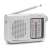 Aiwa RS-55SL AM/FM portable radio with telescopic antenna