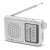 Aiwa RS-55SL tragbares AM/FM-Radio mit Teleskopantenne