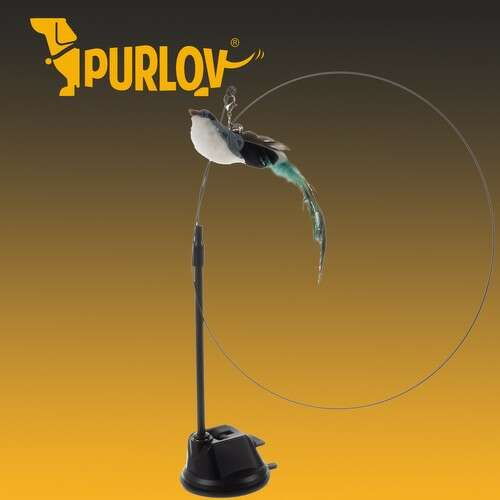 Purlov cat toy with suction cup and feather bird