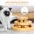 Wooden rolling ball cat toy, cat toy for indoor cats, cat exercise toy
