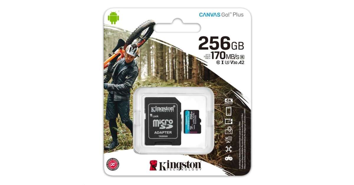 FL Kingston 256GB SD micro Canvas Go! Plus (SDXC Class 10 UHS-I U3