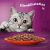 Whiskas Marhahúsos Nedves Macskaeledel - 85g 75616416