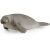 Schleich Manatee Toy Figure, Collectible Sea Animal Model