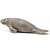Schleich Manatee figure, realistic toy for kids, educational toy, animal figure, sea cow, marine mammal