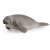 Schleich Manatee figure, realistic toy for kids, educational toy, animal figure, sea cow, marine mammal