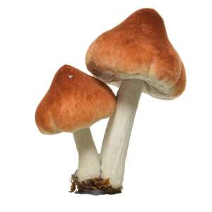 Brown mushroom Christmas tree ornament, 9 cm, foam, clip-on - Autumn decoration supply