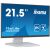 iiyama 21.5" ProLite T2252MSC-W2 Touch Monitor with IPS and PCAP Technology