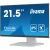 iiyama ProLite T2252MSC-W2 21.5" Full HD Touchscreen Monitor