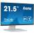 iiyama ProLite T2252MSC-W2 21.5 inch IPS LED monitor with 10-point touch screen