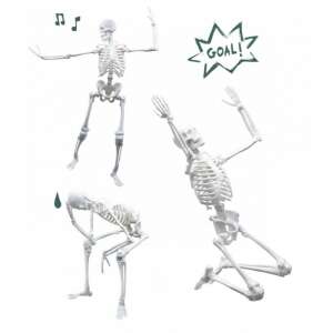 Giant skeleton toy for kids, showing different poses and activities - Science & Discovery Toy