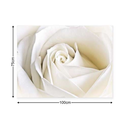 Vászonkép fehér rózsa 75x100cm, virágos falikép - Otthon és kert