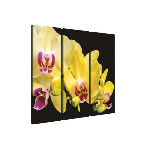 Vászonkép szett 3 darabos sárga Orchidea 3D - Otthon és kert