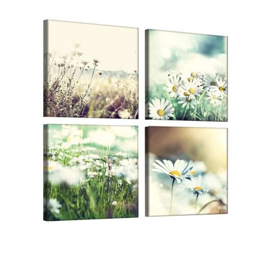 4 darabos vászonkép szett, margaréta virágokkal, 50cm x 50cm - Otthon és kert
