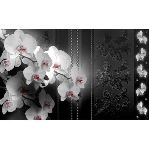 Fekete-fehér orchidea fotótapéta, absztrakt design - Otthon és kert