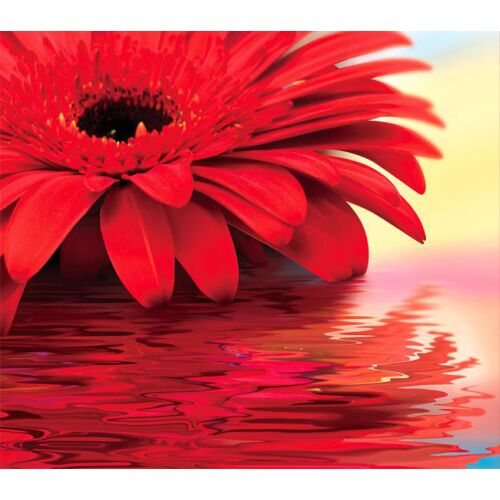 Fotótapéta Gerbera, vörös gerbera virágos fotótapéta, virágos faldekoráció - Otthon és kert
