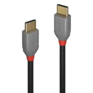 Close-up of Lindy USB-C to USB-C cable connectors, gold plated - Computers and Accessory