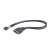Kabel Gembird Cablexpert USB 2.0 do wewnętrznego nagłówka USB 3.0, CC-U3U2-01