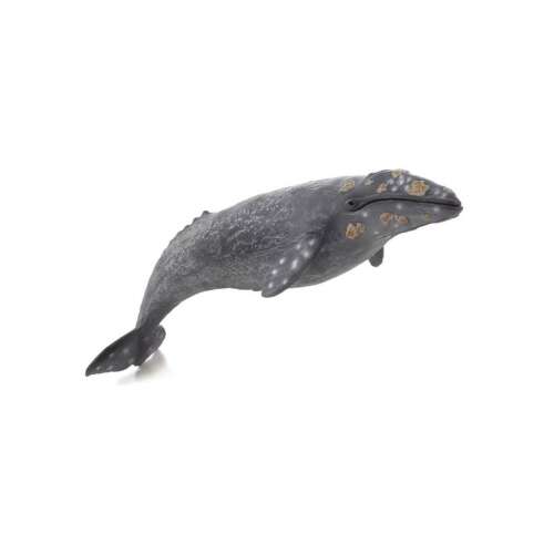 Mojo Meeresleben Grauer Wal 387280 Grauwale Figur