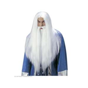 Zaubererperücke mit langem weißen Bart 76260807 - Widmann