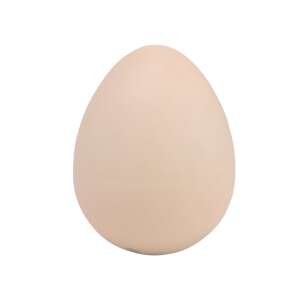 Dino Egg Growing Pet, white dinosaur egg toy, hatching dinosaur, surprise egg, kids toy - Figure