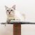 Cat relaxing on Purlov cat tree platform with toy mouse