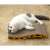 Cat lying on Purlov Cat Wave cardboard scratcher