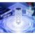 Crystal Lamp / Rose Projector – The Meeting of Elegance and Magic in a Single Lamp 89029916