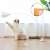 Mercaton® interactive cat toy with suction cup, flexible steel rod, feathers and bells to attract attention, 90 cm, white, cat playing with the toy