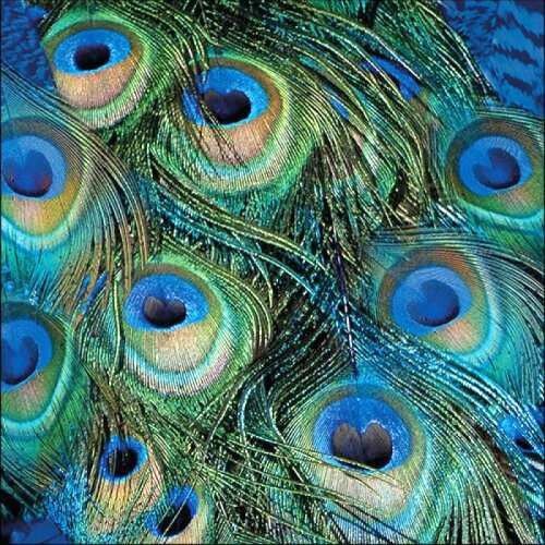 Ambiente Peacock Feathers papírszalvéta, közeli kép a páva toll mintáról - Ambiente
