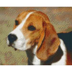 Pixel szett 4 normál alaplappal, színekkel, kutya, beagle (804042) 76547048 