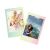 Fujifilm Instax Mini 1x10 Macaron 103138267