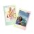 Fujifilm Instax Mini 1x10 Macaron 103138267