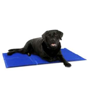 Black Labrador dog lying on a blue Navaris cooling mat for pets - Cooling Product for Pet
