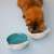 Cat eating from Navaris ceramic cat food and water bowl, blue and green, with cat face design, non-slip feet