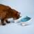 Cat eating from Navaris ceramic cat food and water bowl, blue and green, with cat face design, non-slip feet