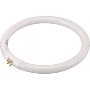 Körfluoreszcens Cső - 32W G10q 4000K