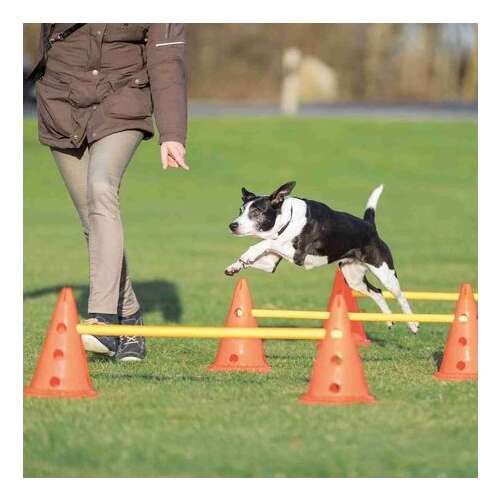 Trixie Dog Activity agility akadálypálya szett (Tartalom: 4 bólya, 2 rúd, Méretek: Ø30cm x 50/100cm)