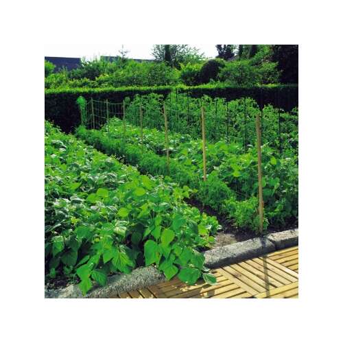 Trellinet plant support net used in a garden setting, supporting growing plants.