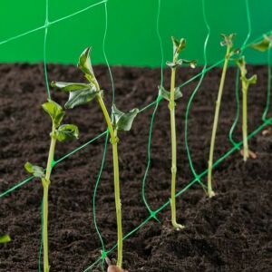 Zbliżenie siatki podtrzymującej rośliny Trellinet podtrzymującej młode rośliny. - Siatki podtrzymujące rośliny