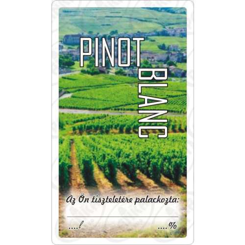 Etichetă de vin Matrica Pinot Blanc cu imagine a podgoriei