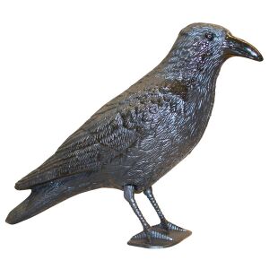 Odpędzasz gołębi kruk