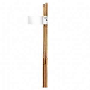Bamboo growing stake 150 cm 2pcs/bunch Bamboo 140834